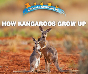 How Kangaroos Grow Up - 9780766096486 by Heather Moore Niver, 9780766096486