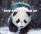 How Pandas Grow Up by Lisa Idzikowski, 9780766096554