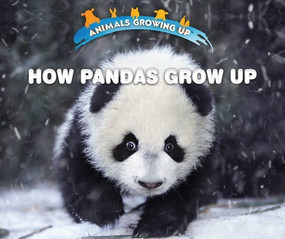 How Pandas Grow Up - 9780766096561 by Lisa Idzikowski, 9780766096561