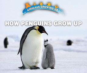 How Penguins Grow Up by Lisa Idzikowski, 9780766096592
