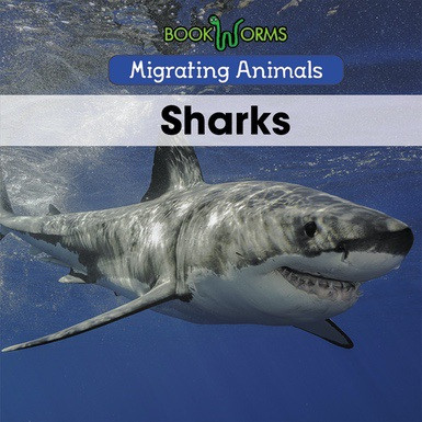 Sharks - 9781502637178 by Arthur Best, 9781502637178