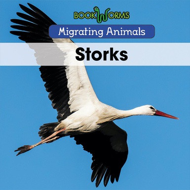 Storks - 9781502637239 by Arthur Best, 9781502637239