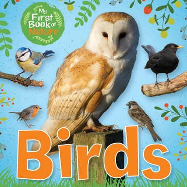 Birds - 9781508196594 by Victoria Munson, 9781508196594