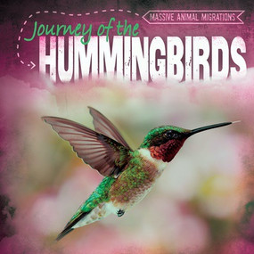 Journey of the Hummingbirds - 9781538216422 by AnneReneé Goyette, 9781538216422