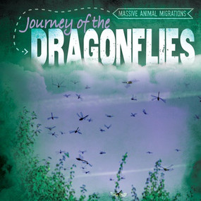 Journey of the Dragonflies - 9781538216507 by AnneReneé Goyette, 9781538216507