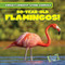 80-Year-Old Flamingos! by Joni Kelly, 9781538216781
