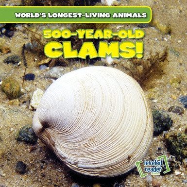 500-Year-Old Clams! by Joni Kelly, 9781538216828