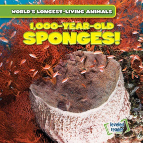 1,000-Year-Old Sponges! by Joni Kelly, 9781538216972