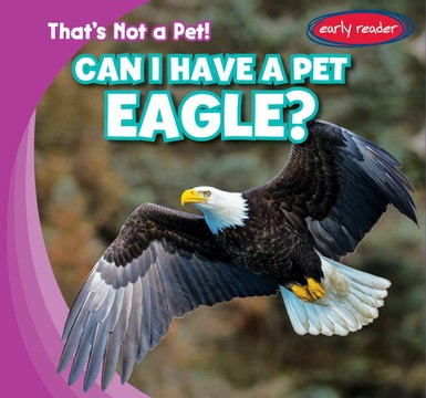 Can I Have a Pet Eagle? by Michou Franco, 9781538217849