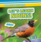 Let's Learn Nouns! by Kate Mikoley, 9781538218877