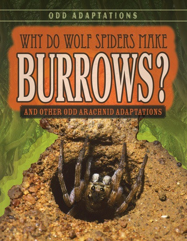 Why Do Wolf Spiders Make Burrows? (And Other Odd Arachnid Adaptations) - 9781538220375 by Meghan Sharif, 9781538220375
