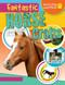 Fantastic Horse Crafts by Jane Yates, 9781538226186
