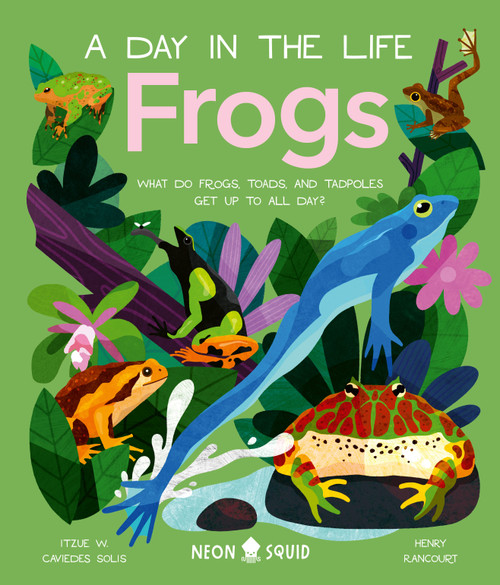 Frogs (A Day in the Life) (What Do Frogs, Toads, and Tadpoles Get Up to All Day?) by Dr Itzue W. Caviedes-Solis, Henry Rancourt, Neon Squid, 9781684493074