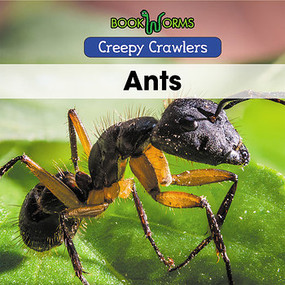 Ants - 9781502641649 by Anika Abraham, 9781502641649
