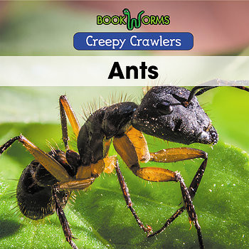Ants - 9781502641649 by Anika Abraham, 9781502641649