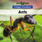 Ants - 9781502641649 by Anika Abraham, 9781502641649