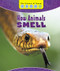 How Animals Smell by Alicia Z. Klepeis, 9781502642080