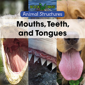 Mouths, Teeth, and Tongues by Derek Miller, 9781502642325
