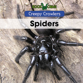 Spiders - 9781502642806 by Jack K. Patterson, 9781502642806