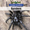 Spiders - 9781502642806 by Jack K. Patterson, 9781502642806