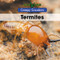 Termites - 9781502642868 by Jack K. Patterson, 9781502642868