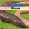 Worms - 9781502643049 by Jack K. Patterson, 9781502643049