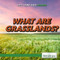 What Are Grasslands? by Laura Loria, 9781508106968