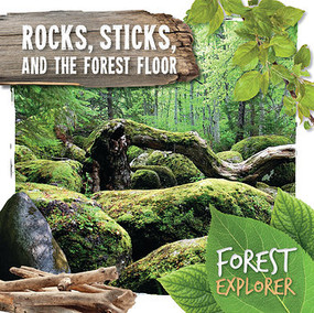 Rocks, Sticks, and the Forest Floor by Robin Twiddy, 9781534528673