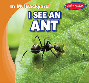 I See an Ant - 9781538231869 by Agatha Gregson, 9781538231869
