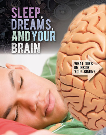 Sleep, Dreams, and Your Brain by Robert Snedden, 9781538235546
