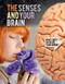 The Senses and Your Brain - 9781538235584 by Robyn Hardyman, 9781538235584