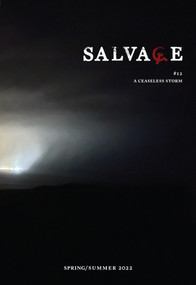 Salvage #12 (A Ceaseless Storm) by Salvage, 9781804291702