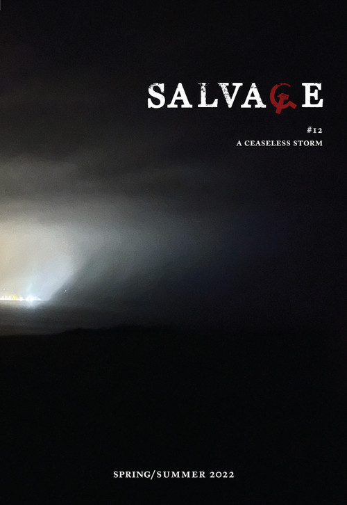 Salvage #12 (A Ceaseless Storm) by Salvage, 9781804291702