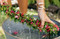Lei Aloha (Celebrating the Vibrant Flowers and Lei of Hawai'i) by Meleana Estes, Jennifer Fiedler, 9781984860897
