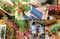 Lei Aloha (Celebrating the Vibrant Flowers and Lei of Hawai'i) by Meleana Estes, Jennifer Fiedler, 9781984860897