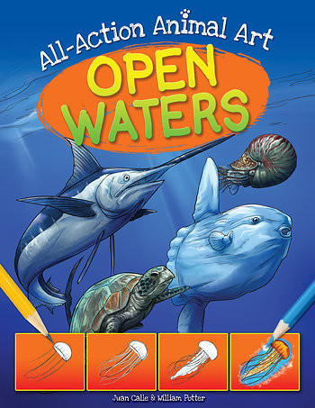 Open Waters by William Potter, Juan Calle, 9781538347409
