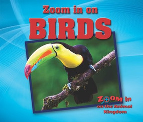 Birds - 9781978501850 by Heather Moore Niver, 9781978501850