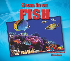 Fish - 9781978501867 by Heather Moore Niver, 9781978501867