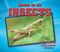 Insects - 9781978501874 by Heather Moore Niver, 9781978501874