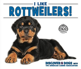I Like Rottweilers! by Linda Bozzo, 9781978501911