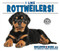 I Like Rottweilers! by Linda Bozzo, 9781978501911
