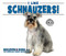 I Like Schnauzers! by Linda Bozzo, 9781978501935