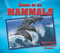 Mammals - 9781978501959 by Kristen Rajczak Nelson, 9781978501959