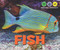 Fish - 9781978502444 by Heather Moore Niver, 9781978502444