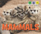 Mammals - 9781978502505 by Kristen Rajczak Nelson, 9781978502505