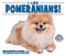I Like Pomeranians! - 9781978502598 by Linda Bozzo, 9781978502598
