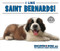 I Like Saint Bernards! - 9781978502659 by Linda Bozzo, 9781978502659