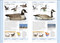 Birds of Eastern Canada by DK, 9780744070712