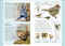 Birds of Eastern Canada by DK, 9780744070712