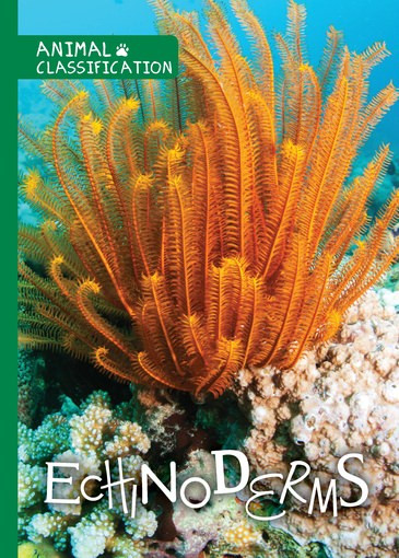 Echinoderms by Joanna Brundle, 9781534530300
